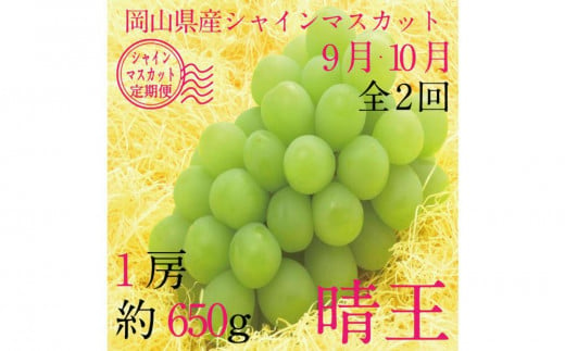 [HS]【定期便 全2回】ぶどう 2025年 先行予約 9月・10月発送 シャイン マスカット 晴王 1房 約650g ブドウ 葡萄  岡山県産 国産 フルーツ 果物 ギフト 1983776 - 岡山県岡山市