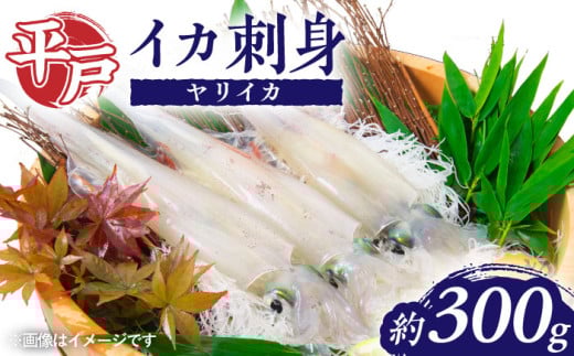 【 鮮度抜群 】 甘くてコリコリ！平戸の ヤリイカ 刺身 約300g【百旬館】 [KAK023] 797234 - 長崎県平戸市