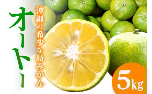 【12月発送開始】やんばる国頭村産　希少な島みかん「オートー」５kg