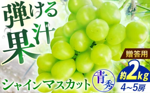 【先行予約】【9月中旬から9月末に順次発送】 ぶどう シャインマスカット 2kg（4房から5房 青秀） 露地栽培 シャインマスカット マスカット 果物 フルーツ ぶどう 葡萄 三次市/西田ぶどう園 [APCM004] 1983964 - 広島県三次市