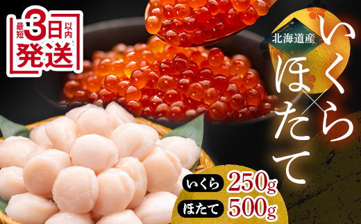 ★レビューキャンペーン実施中!★ 8月発送 笹谷商店 いくら醤油漬け250g&ほたて貝柱500g F4F-7868 879204 - 北海道釧路市