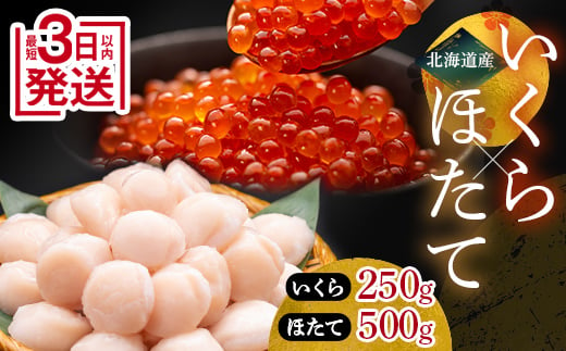 【4月発送】笹谷商店 いくら醤油漬け250g＆ほたて貝柱500g F4F-7864 879200 - 北海道釧路市