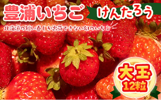 【2025.4月以降順次出荷】豊浦いちご 大玉12粒 【 ふるさと納税 人気 おすすめ ランキング 果物 いちごイチゴ 苺 大玉 大粒 けんたろう おいしい 美味しい 農園直送 採れたて 新鮮 産直 苺 ストロベリー 北海道 豊浦町 送料無料 】 TYUAH001 1352023 - 北海道豊浦町