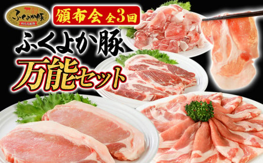 【頒布会】豚肉 切り落とし しゃぶしゃぶ ステーキ ふくよか豚 万能セット 定期便 ロース 肩ロース バラ モモ ヒレ 小分け ブタ肉 ぶた肉 冷凍 福岡県 福岡 九州 グルメ お取り寄せ