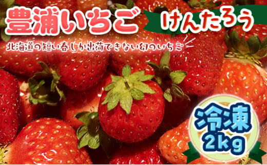 【2025.4月以降順次出荷】豊浦いちご  冷凍いちご 2kg 【 ふるさと納税 人気 おすすめ ランキング 果物 いちごイチゴ 苺 大玉 大粒 けんたろう おいしい 美味しい 農園直送 採れたて 新鮮 産直 苺 ストロベリー 北海道 豊浦町 送料無料 】 TYUAH002 1352026 - 北海道豊浦町