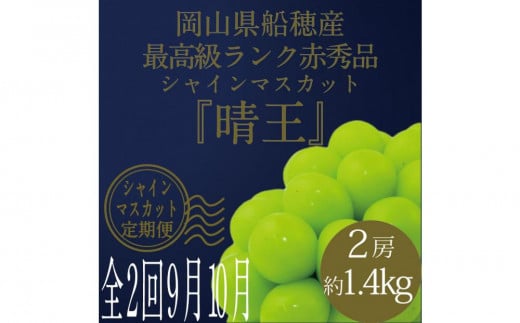 [HS]【定期便 全2回】ぶどう 2025年 先行予約 9月・10月発送 最高級品シャイン マスカット 晴王 2房 〈合計約1.4kg〉 ブドウ 葡萄  岡山県産船穂産 フルーツ 果物 ギフト 1983800 - 岡山県岡山市