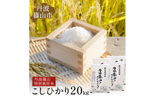 令和7年産 丹波篠山産 特Aランク特別栽培米 こしひかり 20kg 西の魚沼と呼ばれる 丹波篠山 コシヒカリ！白米【100％単一原料米】産地直送 贈答 おいしい お米 精米 コシヒカリ 米20 キロ ブランド おこめ 健康 お試し ギフト 内祝い 贈り物