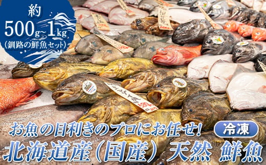 お魚の目利きのプロにお任せ！北海道産（国産） 天然 鮮魚 約500g～1kg（釧路の鮮魚セット）産地直送 冷凍 冷凍便 スピード発送 刺身 セット 鮮魚セット 鮮魚ボックス 北海道 釧路町 釧路超 特産品