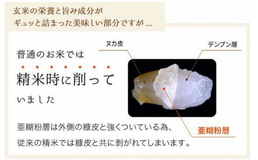 金芽米のできるまで