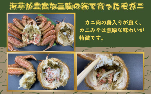 【獲れたてを直送】種市産活毛がに大サイズ（400g前後）×2杯 天然 冷蔵 三陸 蟹 カニ 640714 - 岩手県洋野町 |