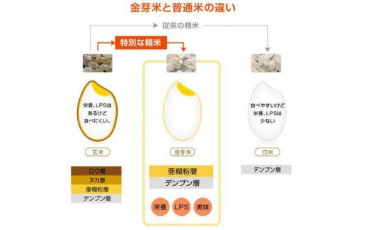金芽米の健康特性