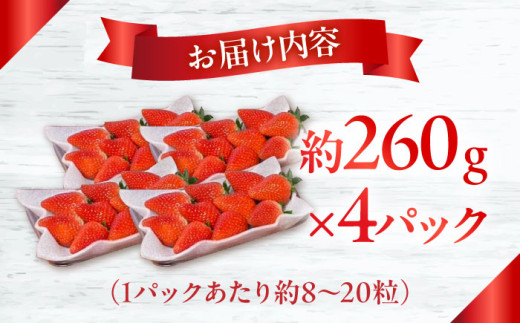 いちご 苺 フルーツ 果物 産地直送 朝採れ 新鮮 国産 イチゴ ゆめのか 甘い ベリー いちご イチゴ