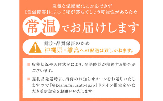 すずめ★すももの王様★貴陽　8個入り✖️2箱 生産者直送】でっかいじゃん！すももの王様 貴陽 8個（2個入り×4