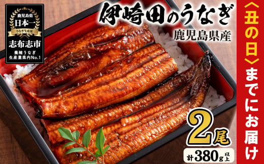 【丑の日までに配送】【数量限定】鹿児島県産 伊崎田のうなぎ蒲焼 特大＜190g以上＞× 2尾(計380g以上) 鰻 うなぎ ウナギ 蒲焼き 2尾 国産 九州産 鹿児島県産 冷凍 おつまみ 鰻重 うな丼 a8-078-us