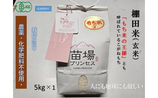 魚沼産こがねもち　玄米5kg　有機ＪＡＳ認証米（転換期間中）