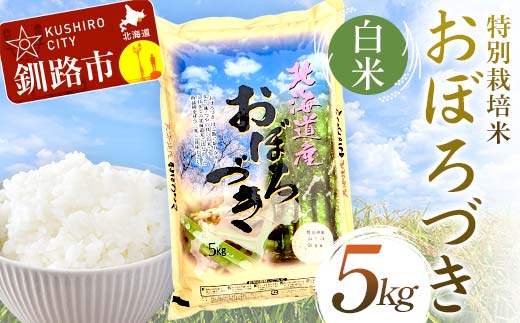 【3月発送】特別栽培米おぼろづき 5kg 白米 北海道産 米 コメ こめ お米 白米 玄米 F4F-7126 1994428 - 北海道釧路市 |