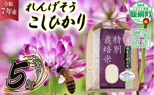 米 れんげそう こしひかり 5kg ( 令和7年産 ) 特別栽培米 仲俣農園  2025年10月上旬頃から順次発送予定 コシヒカリ 白米 精米 お米 信州 26500円 予約 農家直送 長野県 飯綱町 [1626]