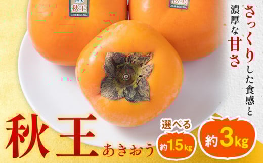 柿 秋王 約1.5kg(4-6玉) または 約3kg(8-12玉) 南国フルーツ株式会社[10月中旬-11月末頃出荷]福岡県 鞍手町 福岡県産 柿 フルーツ 果物 st-p