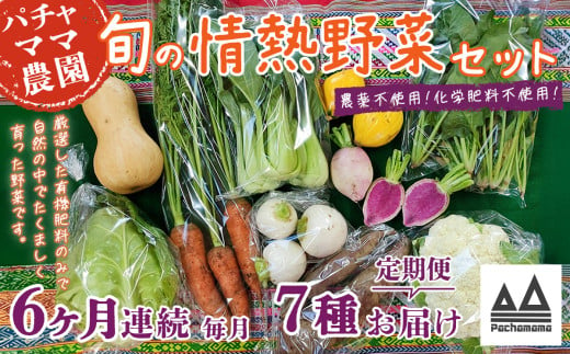 【6ヶ月連続お届け】農園自慢の情熱野菜セット（7品）【野菜 詰め合わせ お任せ 季節物 定期便 セット 山芋 パセリ わさび菜 ポップコーン かぶ 人参 里芋 たまねぎ 玉ねぎ ルッコラ ほうれん草 春菊 大根 芽キャベツ レタス じゃがいも さつまいも とうもろこし そら豆 枝豆 パクチー ビーツ ほうれん草 キャベツ ピーマン なすトマト かぼちゃ】