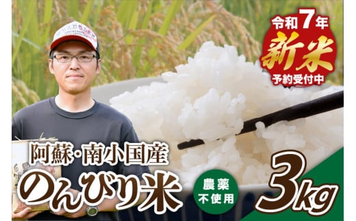 【予約受付】令和７年産・新米 のんびり米 ３kg　令和7年産 南小国産 新米 米 白米 玄米 玄米対応可能 ご飯 ごはん お米 無農薬 農薬不使用 産地直送 熊本 阿蘇 南小国町 送料無料 425630 - 熊本県南小国町