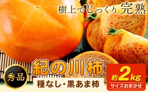 【先行予約】紀の川柿 約2kg (種なし・黒あま柿) 秀品 紀の川市厳選館 《10月上旬-11月末頃出荷予定》 和歌山県 紀の川市 柿 カキ かき ジューシー フルーツ