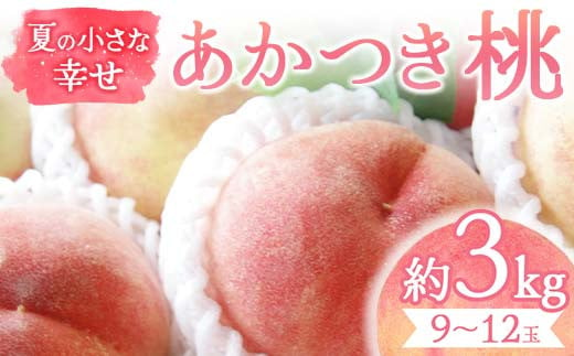 夏の小さな幸せ 桃「あかつき」約3kg（9～12玉） 桃 もも モモ 果物 くだもの フルーツ 国産 食品 F21C-067