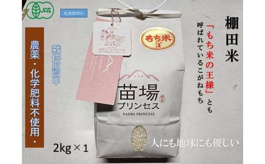 魚沼産こがねもち　精米2kg　有機ＪＡＳ認証米（転換期間中）