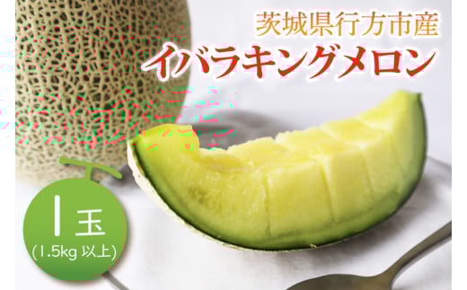 【2025年5月上旬より順次発送】イバラキングメロン 1玉(1.5kg以上)｜メロン 果物 フルーツ イバラキング ブランド 茨城県 茨城 行方市(BW-27) 1985315 - 茨城県行方市
