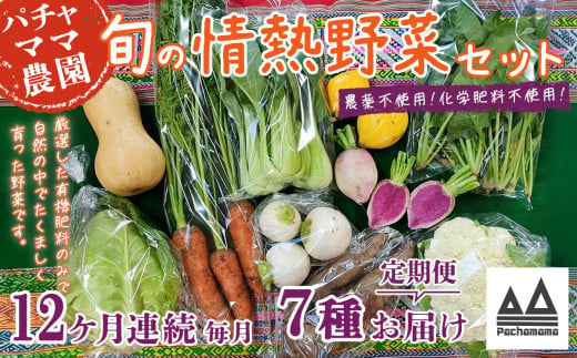 【12ヶ月連続お届け】農園自慢の情熱野菜セット（7品）【野菜 詰め合わせ お任せ 季節物 定期便 セット 山芋 パセリ わさび菜 ポップコーン かぶ 人参 里芋 たまねぎ 玉ねぎ ルッコラ ほうれん草 春菊 大根 芽キャベツ レタス じゃがいも さつまいも とうもろこし そら豆 枝豆 パクチー ビーツ ほうれん草 キャベツ ピーマン なすトマト かぼちゃ】