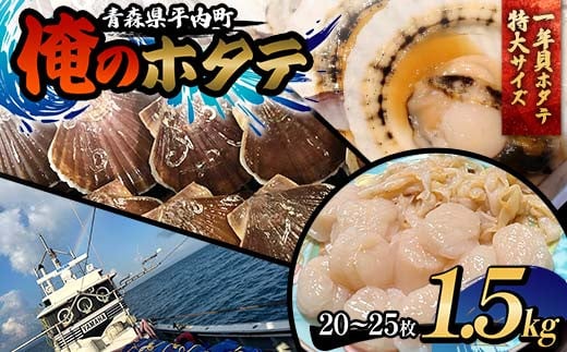 「俺のホタテ」 1年貝ホタテ特大サイズ 1.5kg ホタテ ほたて 帆立 活ホタテ 貝柱 殻付き 魚介 魚貝 魚貝類 青森 青森県 東北 平内 むつ湾 F21J-242 1996852 - 青森県平内町