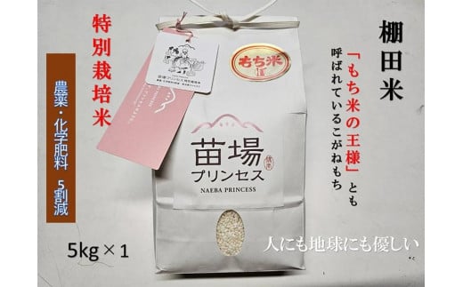 魚沼産こがねもち　精米5kg 　特別栽培米　農薬化学肥料５割減