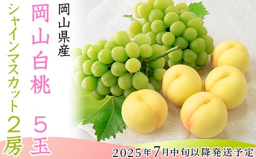 74-15 白桃5玉とシャインマスカット2房セット【2025年7月中旬～8月上旬発送予定】