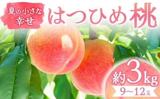 夏の小さな幸せ 桃「はつひめ」約3kg（9～12玉） 桃 もも モモ 果物 くだもの フルーツ 国産 食品 F21C-068