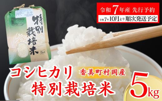 【先行予約 令和7年産米】【香美町 村岡産 コシヒカリ 特別栽培米 精米5kg】 米 ふるさと納税 おすすめ 返礼品 ランキング 令和7年10月以降順次予定 但馬牛の堆肥による土づくり 自然循環型の有機栽培 安全・安心なお米を生産 炊きあがったお米の粒立ちが格別 ふっくらもちもち食感 香りと甘みも非常に豊か 冷めても美味しい米 送料無料 兵庫県 香美町 コシヒカリ 19000円 71-01 1985484 - 兵庫県香美町