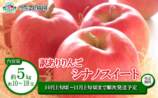 [No.5657-2676]シナノスイート 訳あり 約5kg (約10～18玉) 《黒岩果樹園》■2025年発送■※10月上旬頃～11月上旬頃まで順次発送予定 1060217 - 長野県須坂市