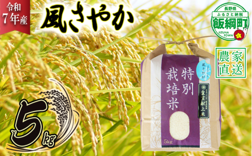 米 風さやか 5kg ( 令和7年産 ) 特別栽培米 仲俣農園 2025年11月上旬頃から順次発送予定 オリジナル米 風 さやか 白米 精米 お米 お弁当 おにぎり 信州 23000円 予約 農家直送 長野県 飯綱町 [0676] 240851 - 長野県飯綱町