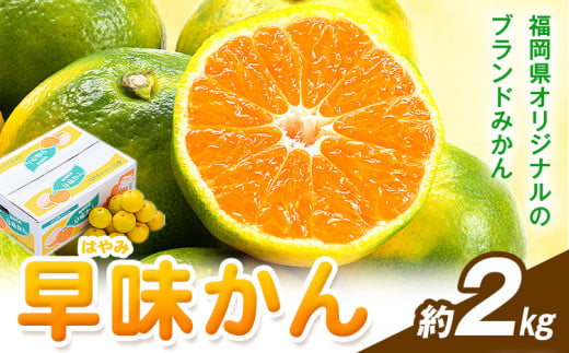 みかん 早味かん 約2kg  南国フルーツ株式会社《9月中旬-9月下旬頃出荷》福岡県 鞍手町 福岡県産 みかん 早味かん フルーツ 果物 2097489 - 福岡県鞍手町