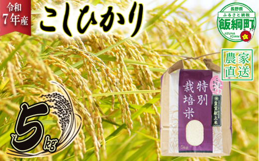 米 皇室献上実績 こしひかり 5kg ( 令和7年産 ) 特別栽培米 仲俣農園 2025年10月上旬頃から順次発送予定 コシヒカリ 白米 精米 お米 信州 23000円 予約 農家直送 長野県 飯綱町 [0669] 240844 - 長野県飯綱町