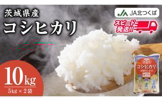 スピード発送!!【 JA 北つくば 】 茨城県産 コシヒカリ 10kg 令和6年産 農協 米 お米 白米 コメ こしひかり 茨城県 精米 新生活 応援 スピード配送 [AE027ci]