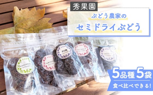 【秀果園】ぶどう農家のセミドライぶどう5品種5袋(各50g)|巨峰、シャインマスカット、ナガノパープルなど 1984483 - 長野県東御市