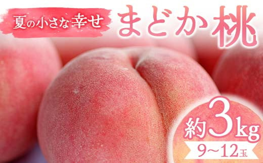 夏の小さな幸せ 桃「まどか」約3㎏（9～12玉） 桃 もも モモ 果物 くだもの フルーツ 国産 食品 F21C-069