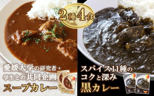 愛媛県喜多郡内子町産イエコオロギパウダー スープカレー スパイスカレー タンパク質 うちこおろぎスープカレー２個と定番コオロギ黒カレー２個セット