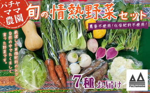 農園自慢の情熱野菜セット（7品）【 やさいセット 野菜詰合せ 野菜詰め合わせ 農園 おまかせ おまかせセット 】