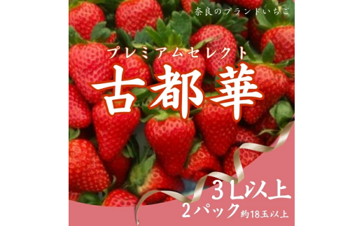 いちご 苺 古都華プレミアムセレクト（２パック入り）甘い いちご 大粒 奈良県認証 めいとく農園 25-020 1984773 - 奈良県奈良市