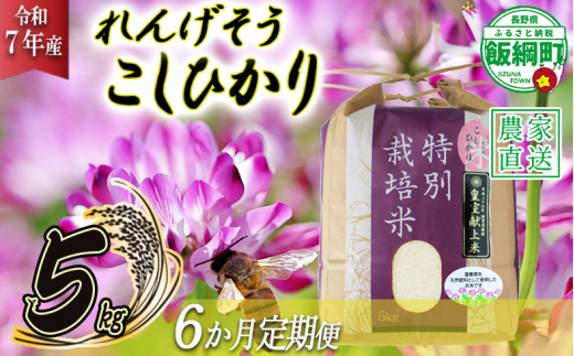 米 れんげそう こしひかり 5kg × 6回 【 6か月 定期便 】( 令和7年産 ) 特別栽培米 仲俣農園 2025年10月上旬頃から順次発送予定 コシヒカリ 白米 精米 お米 信州 159000円 予約 農家直送 長野県 飯綱町 [1927]