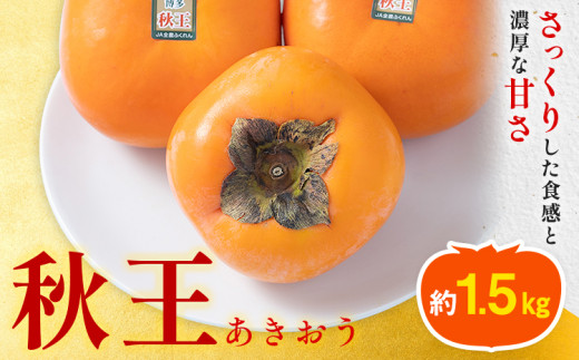 柿 秋王 約1.5kg（4-6玉） 南国フルーツ株式会社《10月上旬-11月末頃出荷》福岡県 鞍手町 福岡県産 柿 フルーツ 果物 1986118 - 福岡県鞍手町