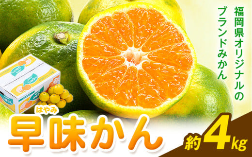 みかん 早味かん 約4kg  南国フルーツ株式会社《9月中旬-9月下旬頃出荷》福岡県 鞍手町 福岡県産 みかん 早味かん フルーツ 果物 2097490 - 福岡県鞍手町