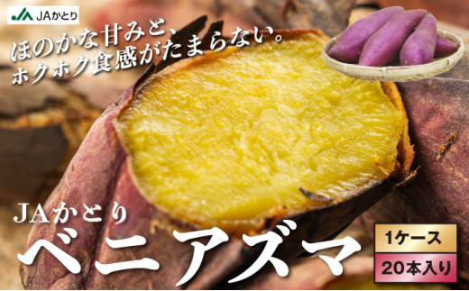 千葉県神崎町 JAかとり産 さつまいも 紅あずま Mサイズ20本入り ほくほく香ばしい 定番の味 焼き芋・干し芋に べにあずま ベニアズマ   1485965 - 千葉県神崎町