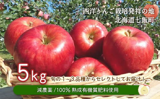 【先行予約】令和7年9月下旬頃発送　北海道