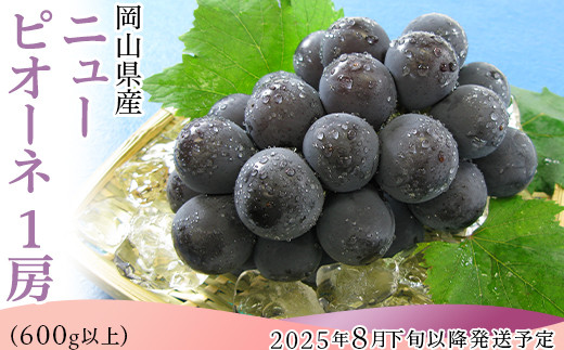 【2回目】岡山県産ニューピオーネ1房（600g以上）※2025年8月下旬～9月下旬【クール冷蔵】で発送予定